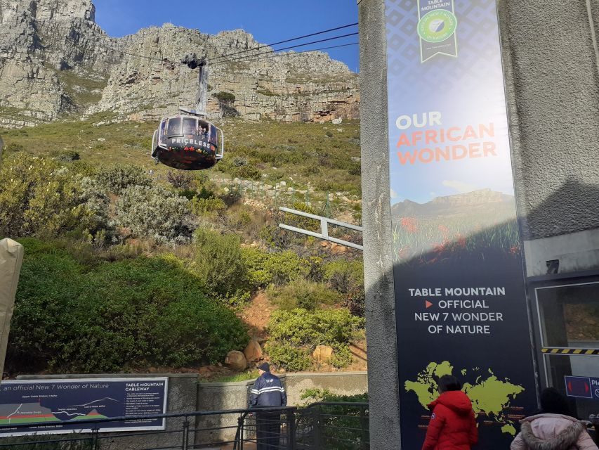 Table Mountain,Cape of Good Hope& Penguins Full Day Private - Explore Table Mountains Panoramic Views