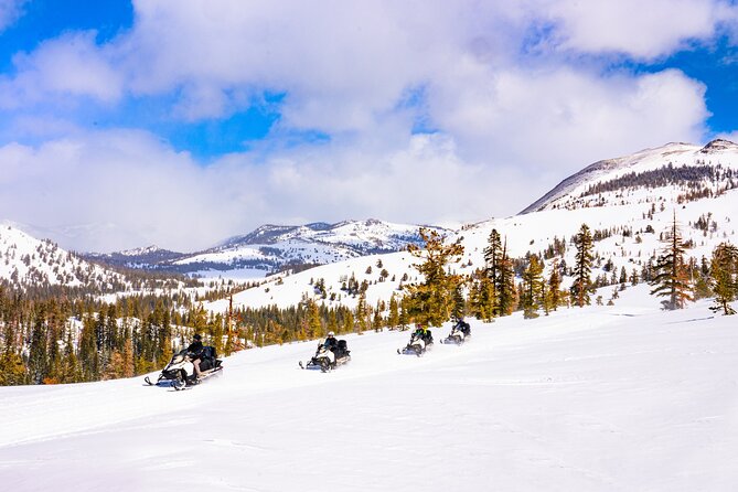 Tahoe Snowmobiling Tours Review: Fun Adventure Awaits