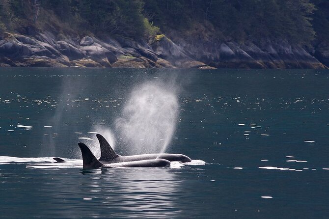 Tales & Tides: Alaskan Lore Cruise Review