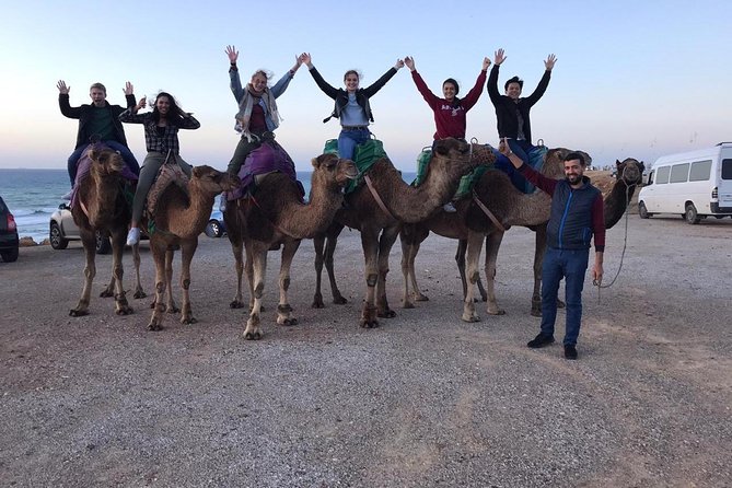 Tangier Private Tour & Camel Ride (Sightseeing & Walking Tour)