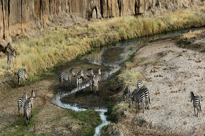 Tanzania Tours Group Sharing 3 Days 2025/2026