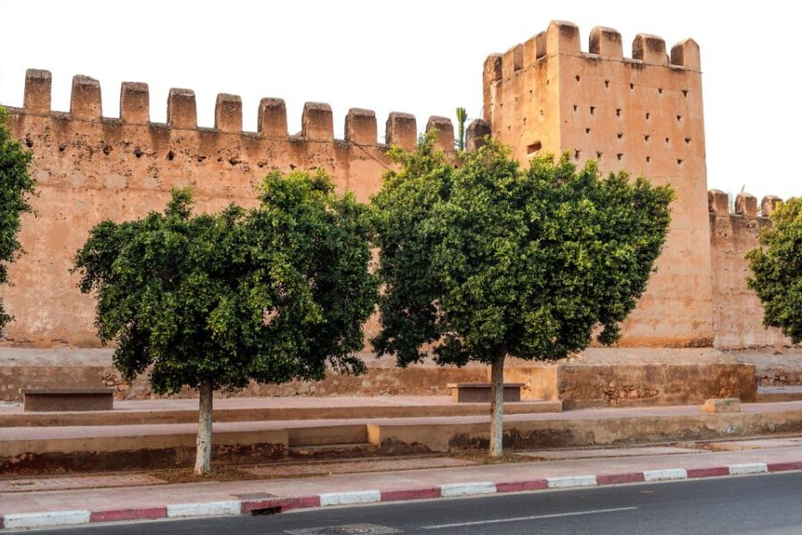 Taroudant and Tiout Oasis Trip With Lunch