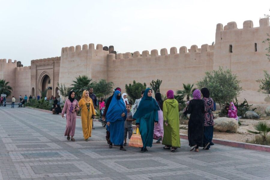 Taroudant and Tiout Oasis Trip With Lunch