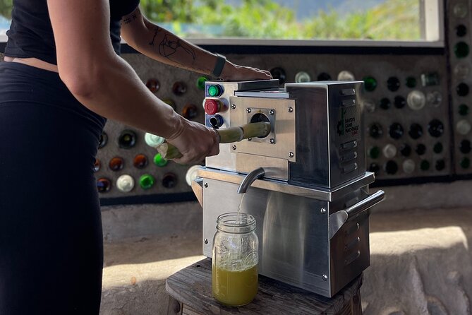 Taste of Hawaii: A Maui Farm Tour