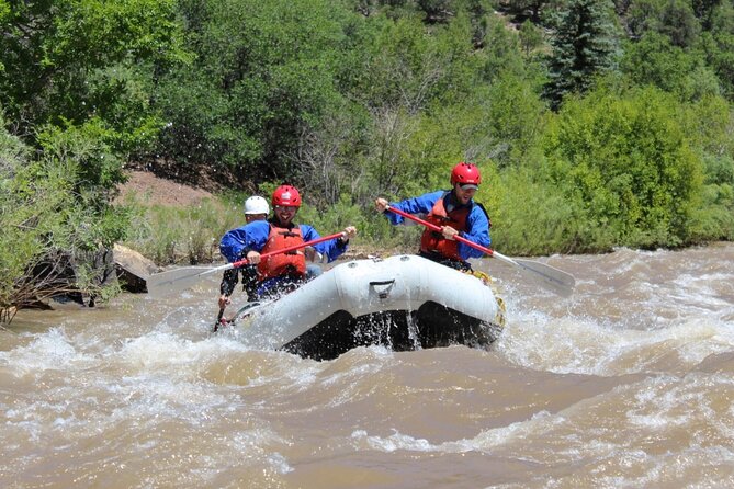 Telluride Afternoon Half-Day Rafting Tour on the San Miguel River
