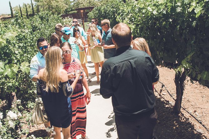 Temecula Valley Afternoon Wine Tour With Tastings and Cheeseboard