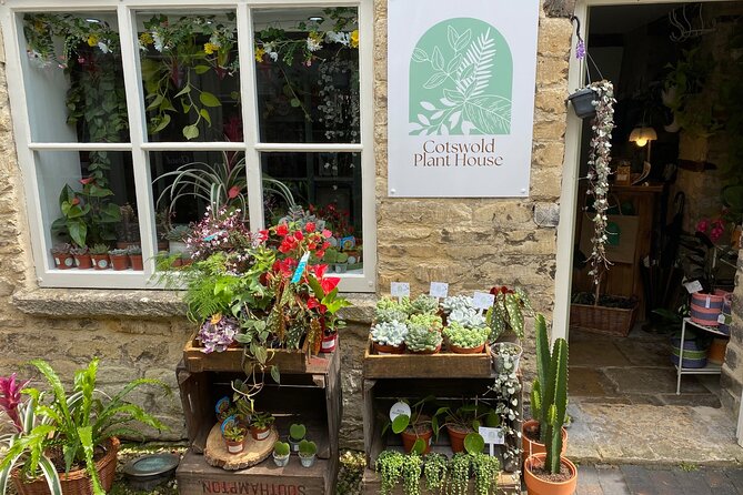 Terrarium Making Experience in Cirencester