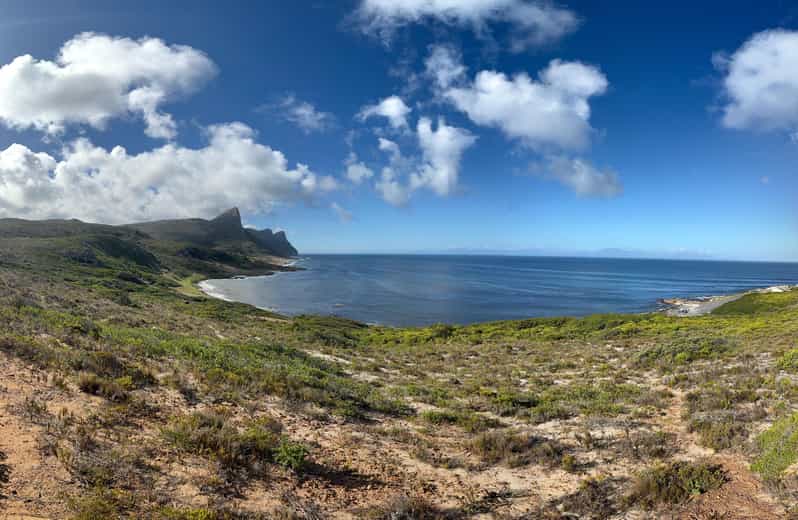 The Cape Peninsula: A Day of Coastal Elegance