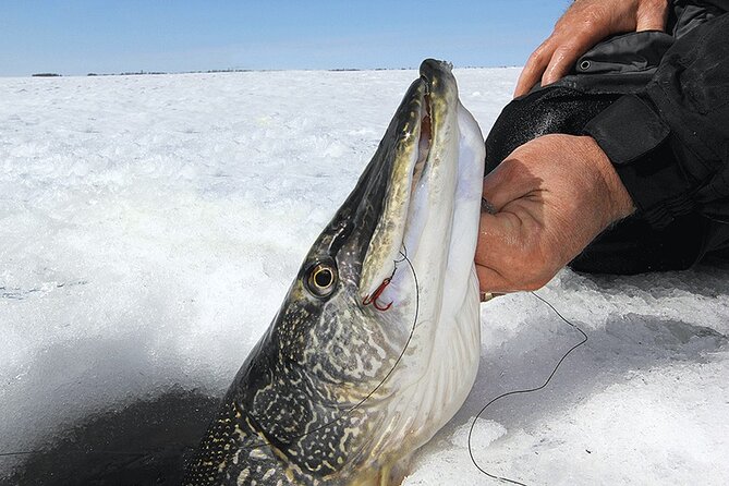 The Date With Aurora Ice Fishing Tour Review