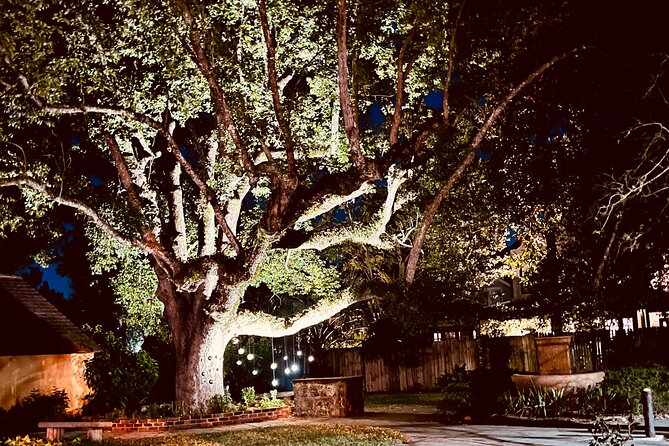 The Last Ride Private Golf Cart Ghost Tour for up to 5 People! - Experience Details