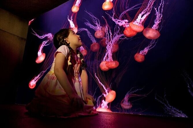 The Lost Chambers Aquarium
