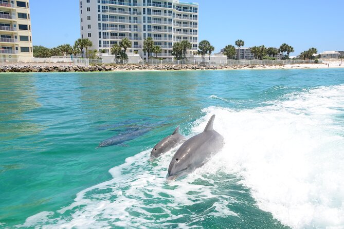 Thriller Speedboat Dolphin Tours in Destin Florida