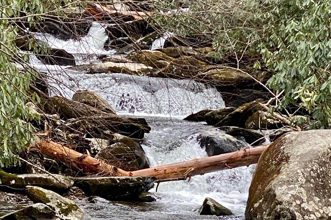 Thundering Streams and Falls of the Smokies Guided Hiking Tour - Tour Overview