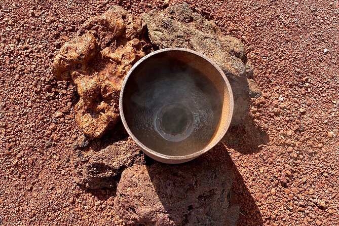 Timanfaya National Park Morning Tour