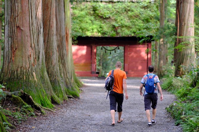 Togakushi Shrine Hiking Trails Tour With Soba in Nagano - Tour Overview
