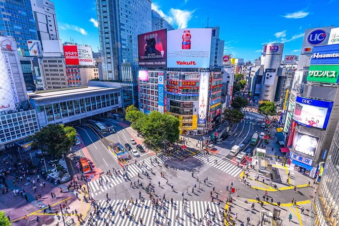 Tokyo City Private English Speaking Driver - Vehicle and Amenities