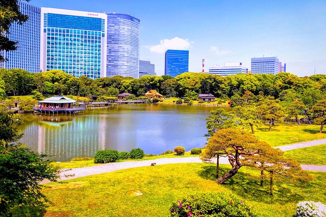 Tokyo Customizable Highlight Tour With A Licensed Private Guide