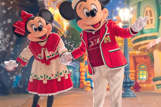 Tokyo Disneyland Entry Ticket With Tokyo Subway Ticket - Ticket Details
