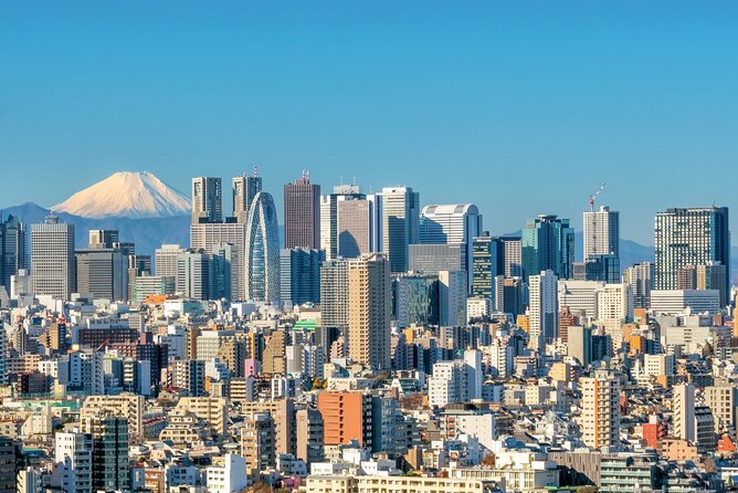 Tokyo Full Day Customize Private Tour With English Guide