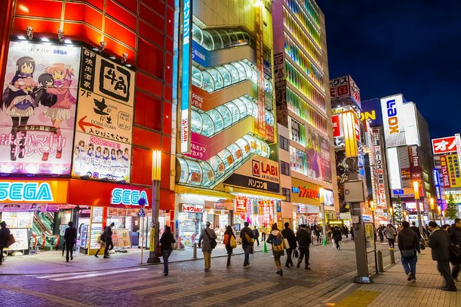 Tokyo History Tour With a Local Guide, Private & Tailored to Your Interests - Tour Overview