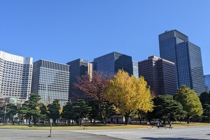 Tokyo Imperial Palace Higashi Gyoen Wellness Tour - Tour Availability and Schedule