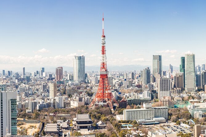 Tokyo Market Skyline and City Guided Tour for Kids and Families