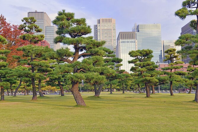 Tokyo Morning Small Group Tour - Tour Overview