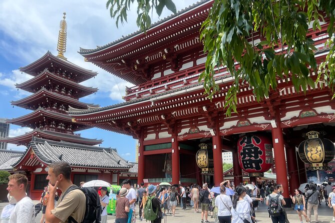 Tokyo Morning Tour: Asakusa, Meiji Shrine and Tsukiji Fish Market