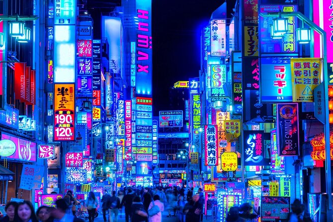 Tokyo Private Tour With English Speaking Driver