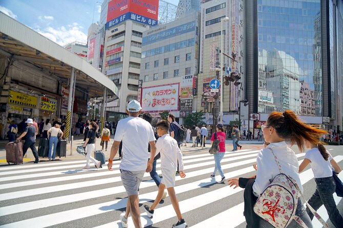 Tokyo Tailored 4 Hours Private Guided Tour