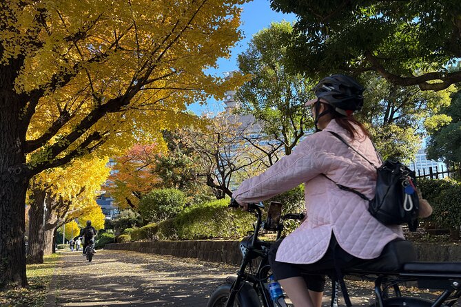 Tokyo Tower Area E-Bike Tour: Highlights and Hidden Gems - Exploring Tokyo Tower and Its Surroundings