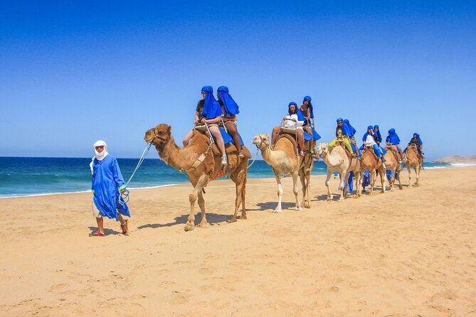 Tour 2x1: Arch + Camels + Mexican Lunch + Pick Up! - Highlights of the Experience