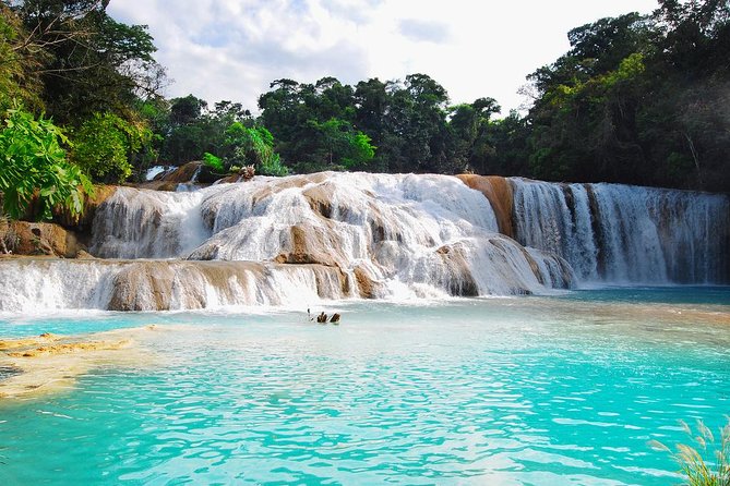 Tour of Agua Azul Waterfalls, Misol-Ha Waterfall, and the Archaeological Zone of Palenque.