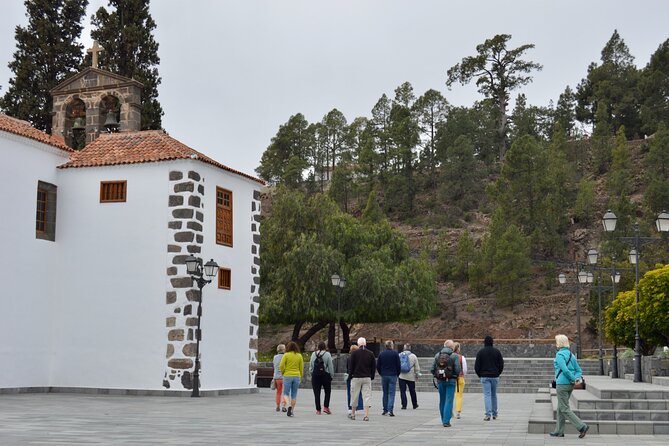 Tour of the Senses Through the South of Tenerife With Wine Tasting