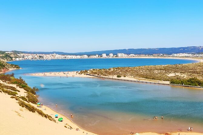 Tour Transfer From Lisbon Porto and Porto Lisbon - Schedule and Availability