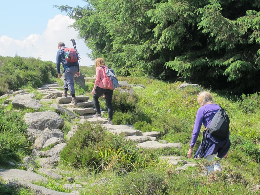Trails and Tombs of the Dublin Mountains Trek