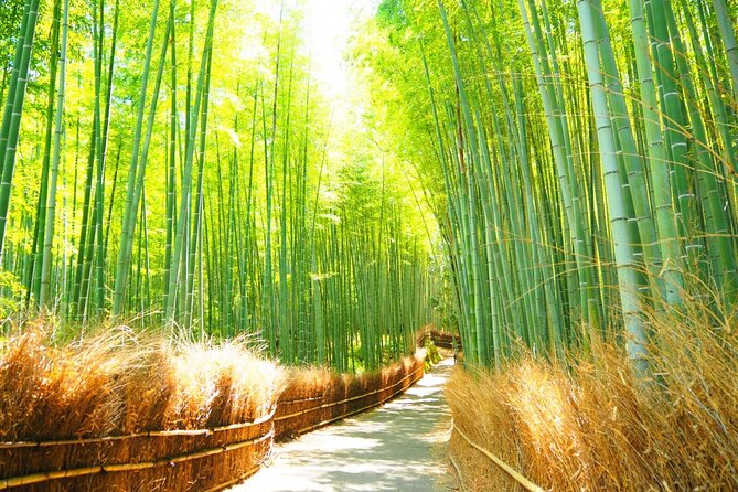 Traversing Kyotos Scenic West – Arashiyama to Kinkakuji