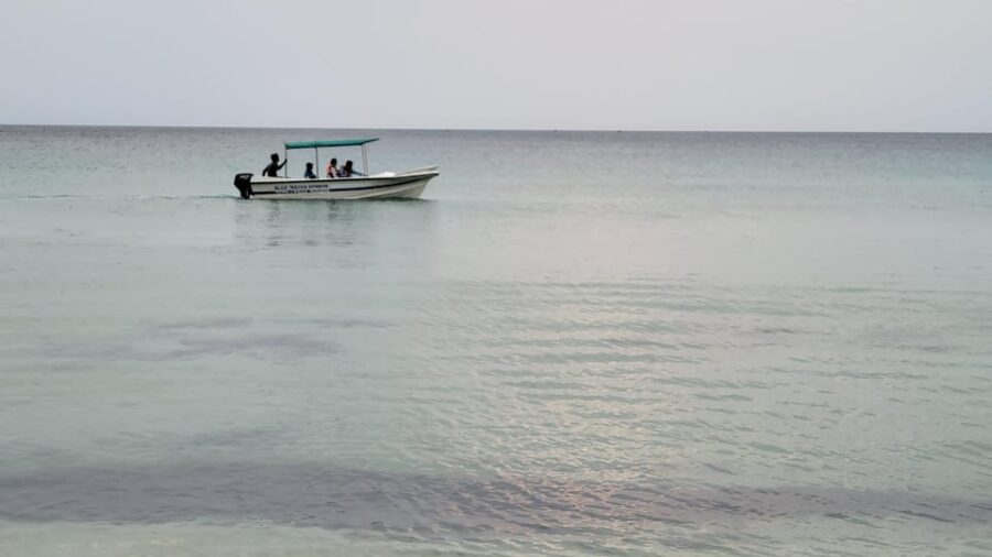Trincomalee: Whales & Dolphin Watching Tours