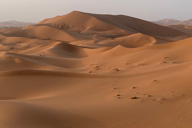 Trip From Erfoud To Merzouga Desert, Dinner, Camel Ride, Sunset