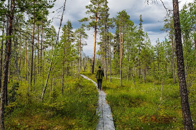Trip to Auttiköngäs Water Falls