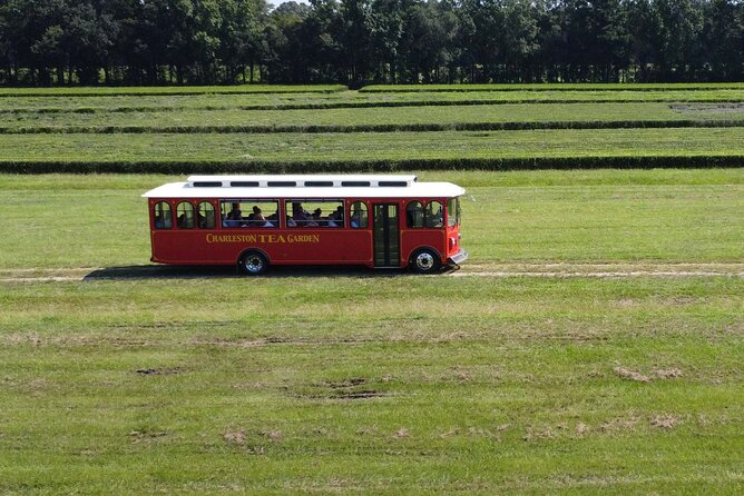 Trolley Tour in Wadmalaw Island of South Carolina
