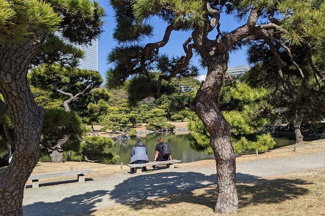Tsukiji & Hamarikyu Gardens Wellness Tour – Walk, Relax & Lunch - Tour Overview