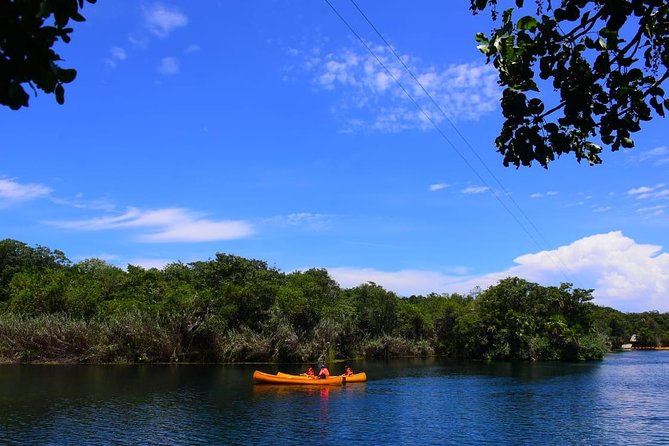 Tulum & Jungle Adventure Private Tour - Tour Highlights