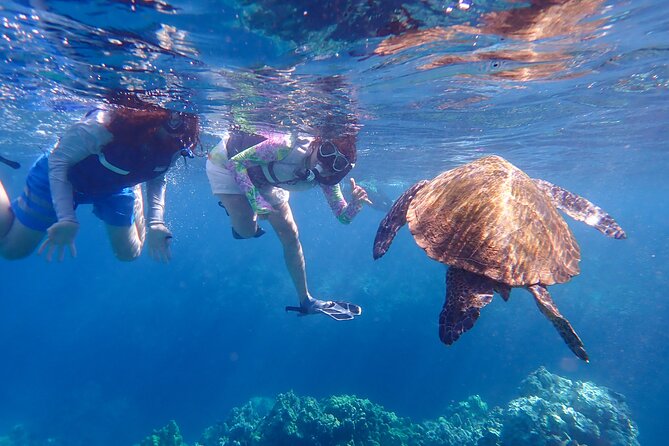 Turtle Town Beach Snorkel