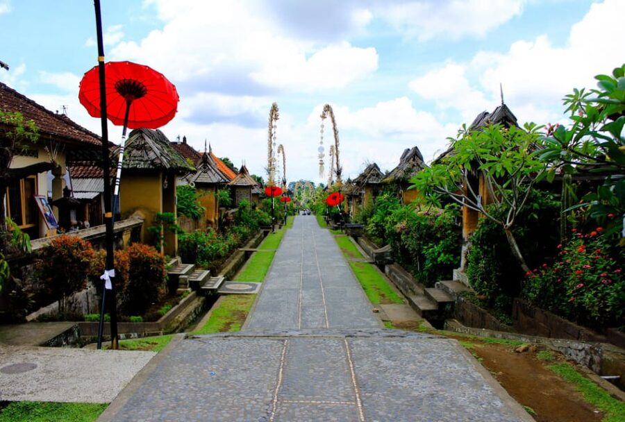 Ubud: Full-Day Rice Paddy UNESCO and Traditional Village