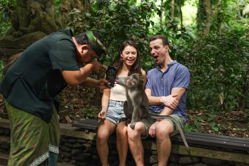 Ubud Waterfalls, Monkey Forest & Rice Terraces