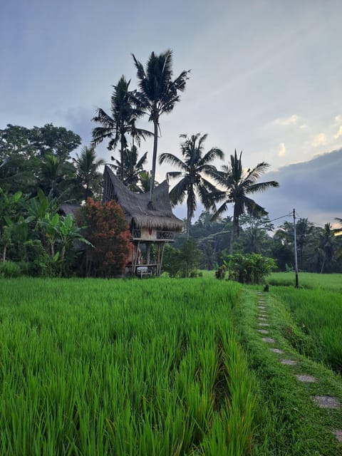 Ubud Wonders:Experience Temple,Rice Terraces and Waterfalls