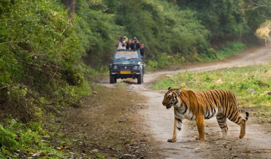 Uttarakhand Delights: Nainital & Corbett Expedition