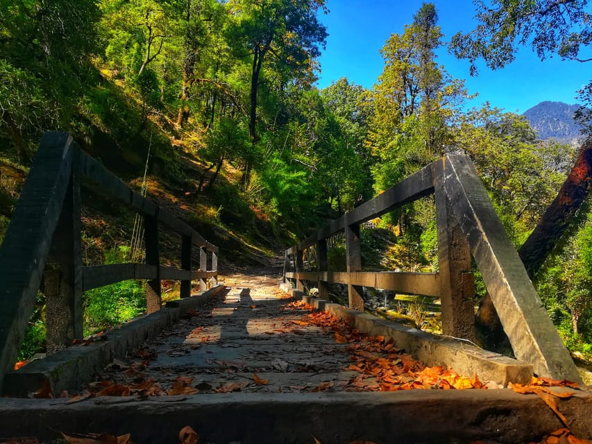 Uttarakhand: Pindari Glacier Trek With Danu Adventure