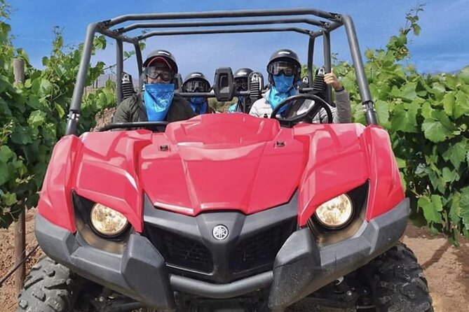 UTV off Road Experience and Winery Visit in Valle De Guadalupe!